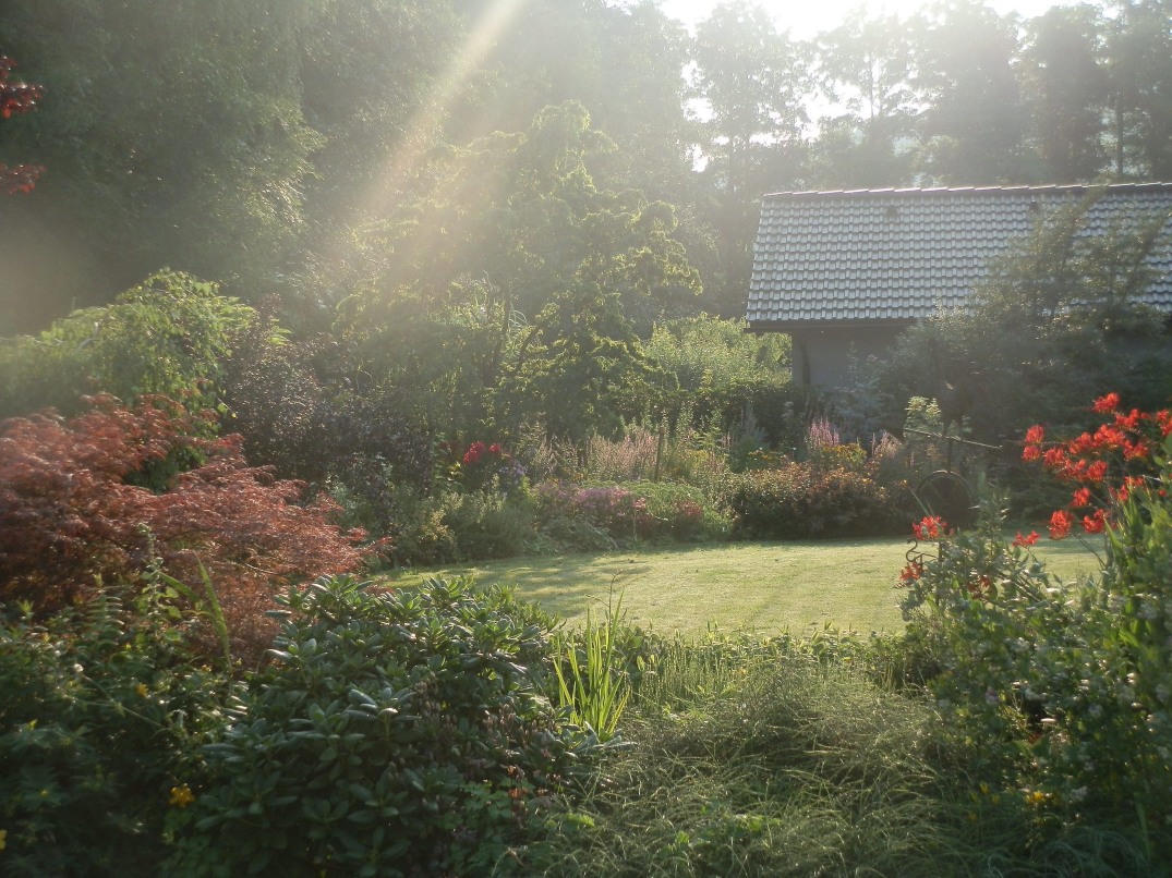 Vyzkoušejte 10 tipů, jak vytvořit zahradu, která vás bude bavit od jara do zimy